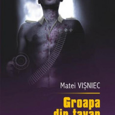 Groapa din tavan - Hardcover - Matei Vişniec - Cartea Românească