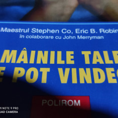 MAINILE TALE TE POT VINDECA - MAESTRUL STEPHEN CO, ERIC B ROBINS, POLIROM 2003