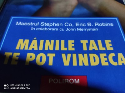 MAINILE TALE TE POT VINDECA - MAESTRUL STEPHEN CO, ERIC B ROBINS, POLIROM 2003 foto