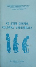 CE STIM DESPRE COLOANA VERTEBRALA-BEJAN V. DORIN-249619