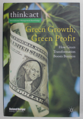 GREEN GROWTH , GREEN PROFIT , HOW GREEN TRANSFORMATION BOOSTS BUSINESS by ROLAND BERGER , 2011 foto