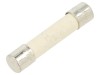 Siguranță &icirc;nt&acirc;rziată 1A 250V ceramică cilindrică