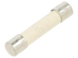 Siguranță &icirc;nt&acirc;rziată 1A 250V ceramică cilindrică