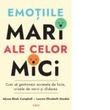 Emotiile mari ale celor mici. Cum sa gestionezi accesele de furie, crizele de nervi si sfidarea - Doina Fischbach, Lauren Elizabeth Stauble, Alyssa Bl