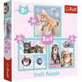 Puzzle Trefl 3in1 Pisicutele Dragalase