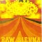 Savoy Brown - Raw Sienna, CD