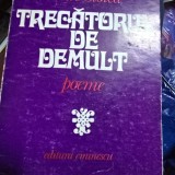 Trecatorul de demult - Petre Stoica