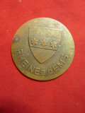 Medalie veche -Concurs Canoe - Rheine ad Ems Germania ,d=4cm, Europa
