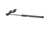 Amortizor capota dreapta față TESLA MODEL 3 2020 OEM: 1091472-00-B 23954470