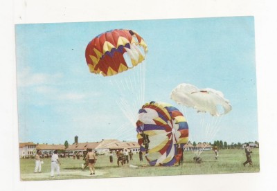 RF50 -Carte Postala- Maximafilie, necirculata foto