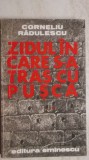 Corneliu Radulescu - Zidul in care s-a tras cu pusca, 1979, Eminescu