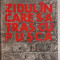 Corneliu Radulescu - Zidul in care s-a tras cu pusca, 1979