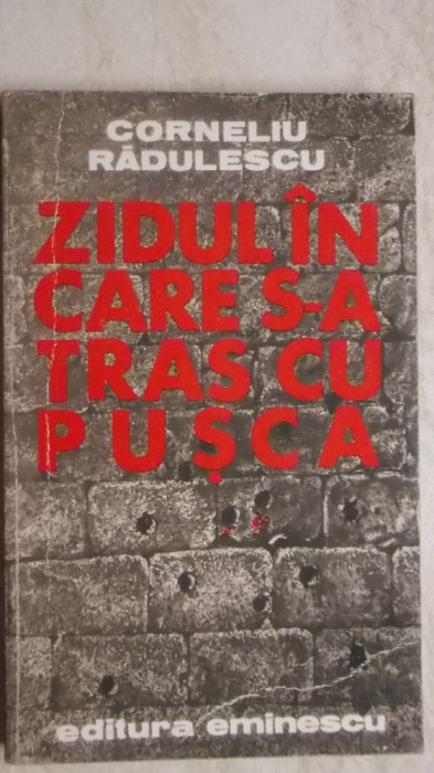 Corneliu Radulescu - Zidul in care s-a tras cu pusca, 1979