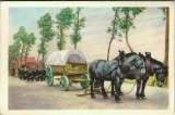 NI845 Folklore belge, Editi&eacute; par C&ocirc;te d&rsquo;Or, Le bon chocolat belge, Folklore C&ocirc;te d&rsquo;Or No 251, Deuxi&egrave;me s&eacute;rie