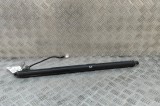 Amortizor haion st&acirc;nga TESLA MODEL X 2018 OEM: 1065664-00-B 30379534