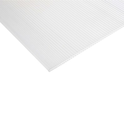 Policarbonat celular cu 2 pereti, transparent, 3000 x 2100 x 8 mm, Car foto