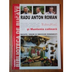 BANATUL SI MUNTENIA COLINARA, RADU ANTON ROMAN