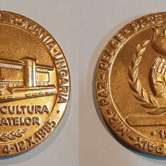 Pace - Expozitia filatelica Romania - Ungaria anul 1986 - Botosani, medalie rara