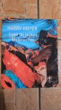 AS - HARRY MEYER - LUMI ALE PICTURII