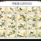 china pasari mnh