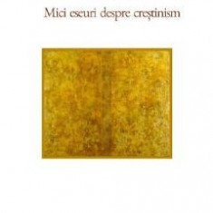 Ca prin oglinda, in ghicitura. Mici eseuri despre crestinism - Ioan Alexandru Tofan