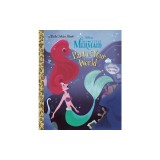 Part of Your World (Disney Princess)