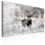 Cumpara ieftin Tablou - Lonely Deer 90x60 cm