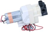 Supapa Ceramica 12-24V 70162 Espressor JURA - Piese Schimb Compatibile