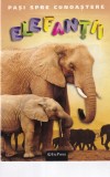 Pasi spre cunoastere: Elefantii, Erc Press, Povesti copii, Ilustrata, Romana, Brosata, Buna