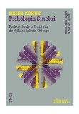 Cumpara ieftin Psihologia sinelui. Prelegerile de la Institutul de Psihanaliza din Chicago