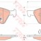 Set placute frana,frana disc MERCEDES R-CLASS (W251, V251) (2006 - 2016) TRW GDB1642