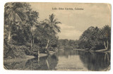 AD 916 C. P. VECHE -LAKE EDEN GARDEN, CALCUTTA -INDIA - CIRCULATA 1907 BUCURESTI