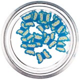 Cumpara ieftin Fluturași fimo - turcoaz-alb, felii, INGINAILS