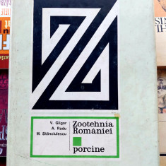 Zootehnia Romaniei - Porcine . V. Glogor, A. Radu, M. Stanciulescu