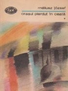 Orasul pierdut in ceata, Volumul I foto