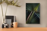 Tablou Canvas, "Frumusețea frunzelor tropicale verzi", Frunze, Verde, Textură, Lumină, Umbre, Natură, Detalii, 26 x 39 cm, CMCLASS