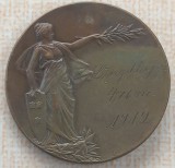 (M36) MEDALIE SUEDIA - SVERIGES MILITARA IDROTTSFORBUND, SPORTIVA - 1912, Europa