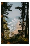 Tablou Canvas, "&Icirc;ntre pădure și valuri sălbatice", Ocean, Valuri, Plajă, Pădure, Cer, Verdeață, &Icirc;nalt, Priveliște, Apus, Natura, 26 x 39 cm, CMCLASS