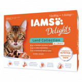 Iams Cat Multibox Bucățele de carne de mamifere terestere 12 x 85 g