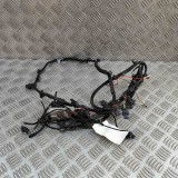 Cablaj senzor de parcare față AUDI A5 Avant 2024 OEM: 8B3971095BH 31880024