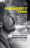 Indragostit de lume - Editura Humanitas