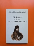 Călăuzire către viața duhovnicească - Sf&acirc;ntul Teofan Zăvor&acirc;tul