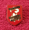 Insigna fotbal - WALSALL FC (Anglia)