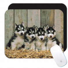 Husky siberian : Cadou Mouse pad : Caine Animal de companie Ca?elu? Animal Caini dragu?i foto