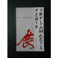 IOAN GRIGORESCU - FENIX INFLAMABIL