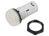 Lumină de Control Transparentă 24VAC/24VDC