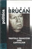 Treptele tranzitiei spre capitalism: puncte de reper - Silviu Brucan
