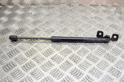 Amortizor capota st&amp;acirc;nga față TESLA MODEL 3 2021 OEM: 1091472-00-B 14147960 foto