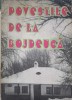 Povestile de la Bojdeuca - Constantin Parsacan, Junimea 1996, Carte Povesti copii, Romana, 156 pagini