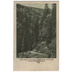 1940 - Valea Vinului (jud. Bistrița-Năsăud)
